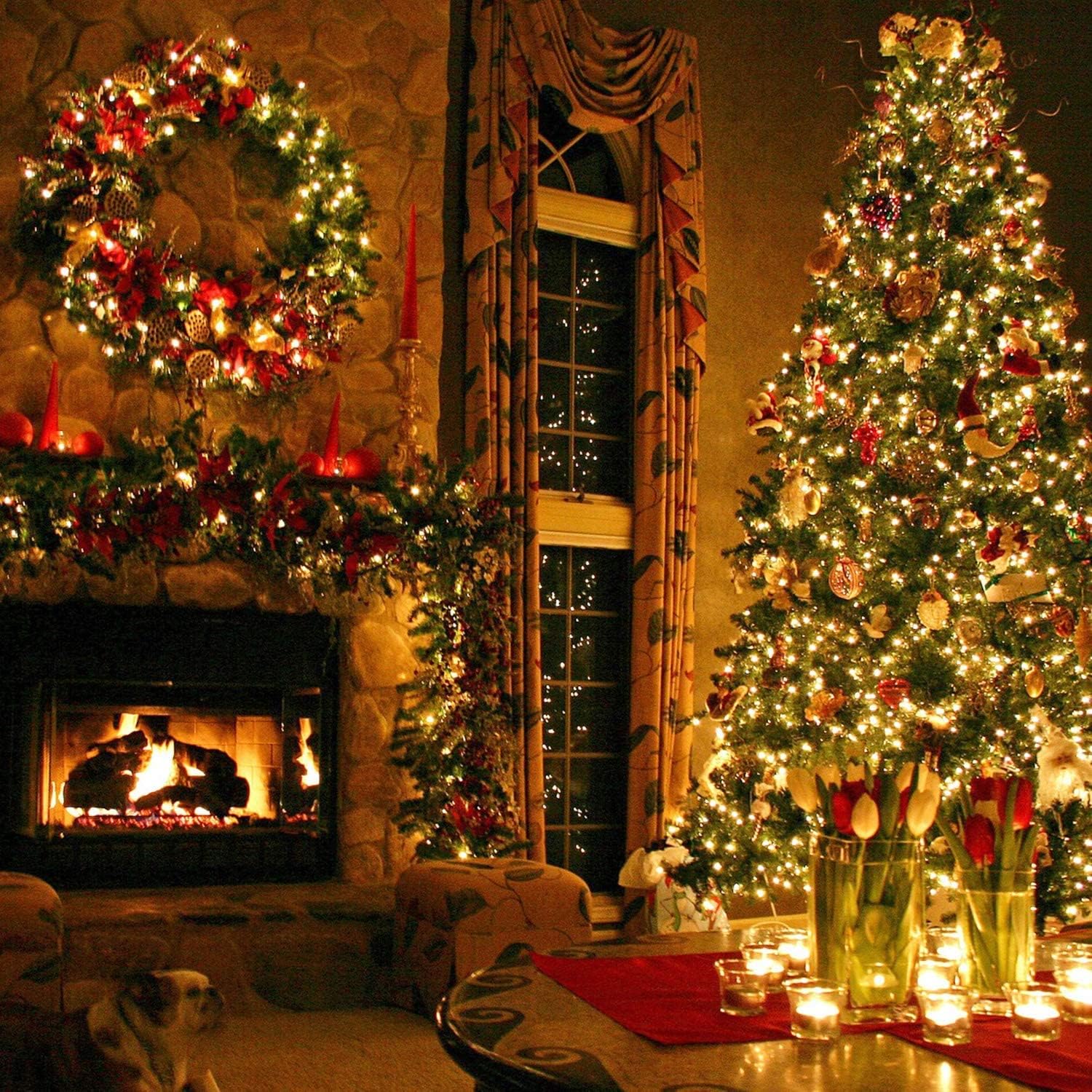 GuirlanGuirlande Lumineuse LED  jaune Intérieure et Extérieure Alimentée avec Prise