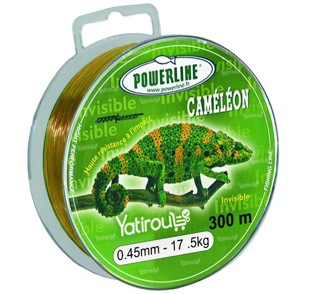 Bobine Fil de pêche en nylon transparent 100 mètres