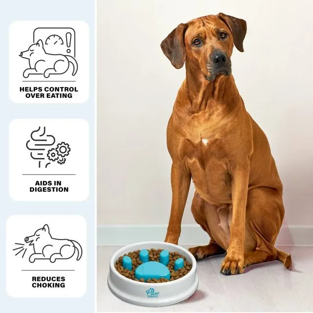 Bol Ralentisseur en Forme de Patte