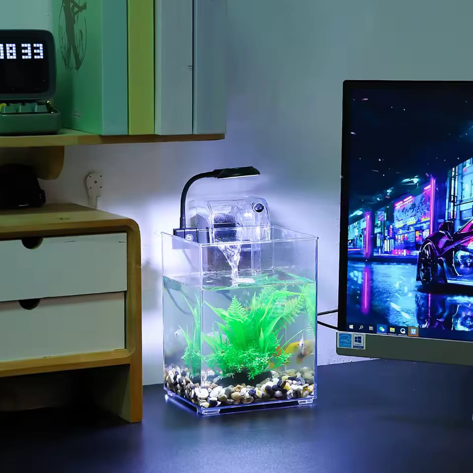 Petit aquarium avec lumière LED