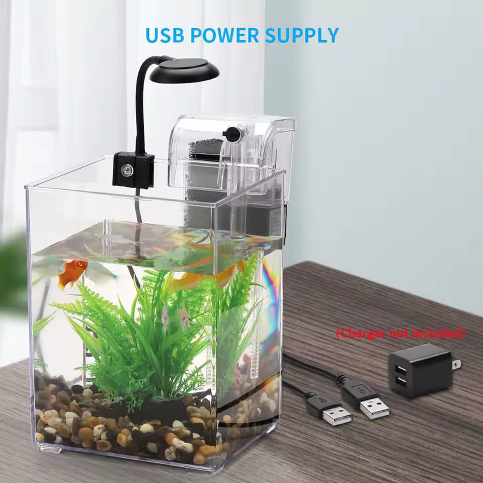 Petit aquarium avec lumière LED