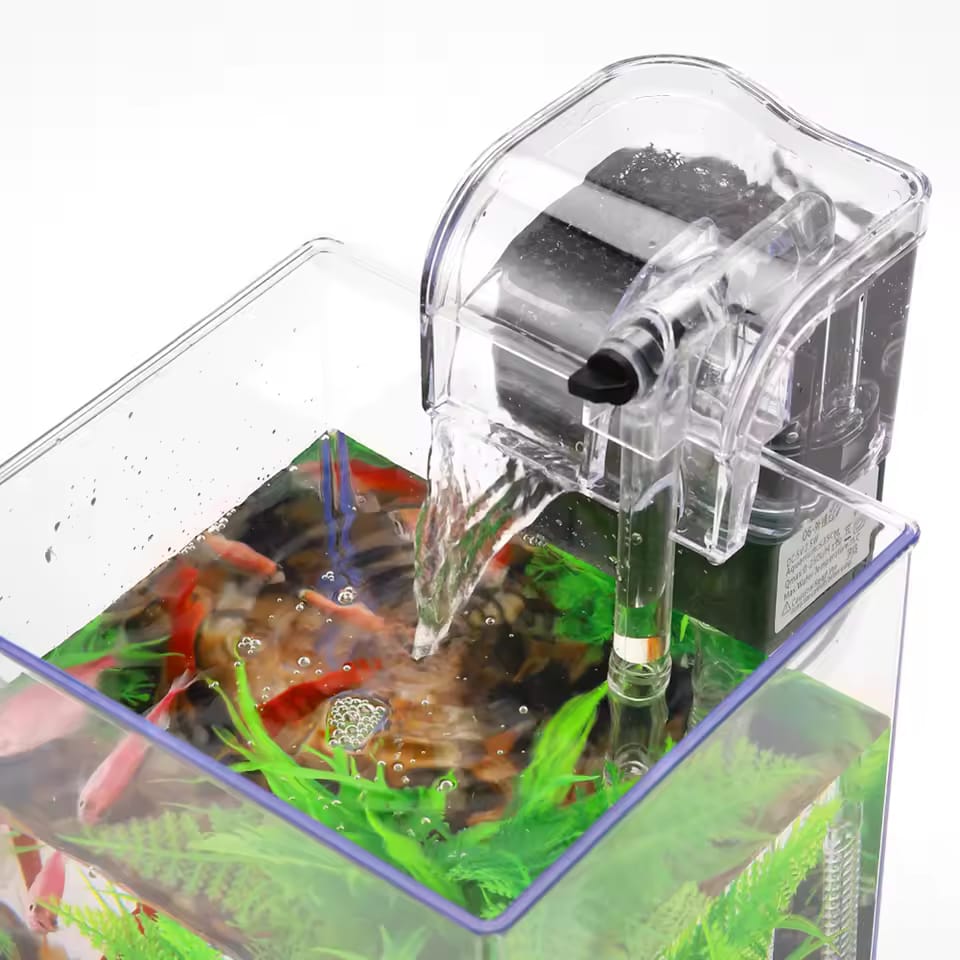 Petit aquarium avec lumière LED